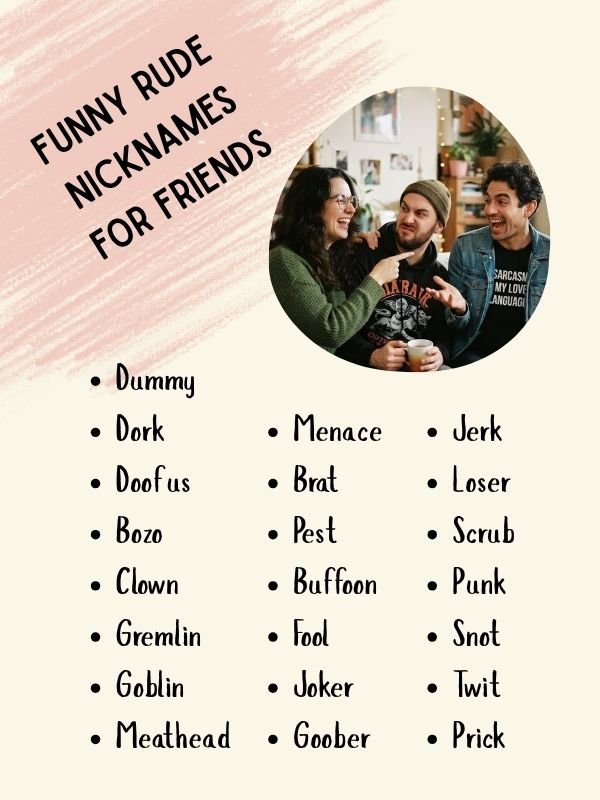 Funny Rude Nicknames for Friends