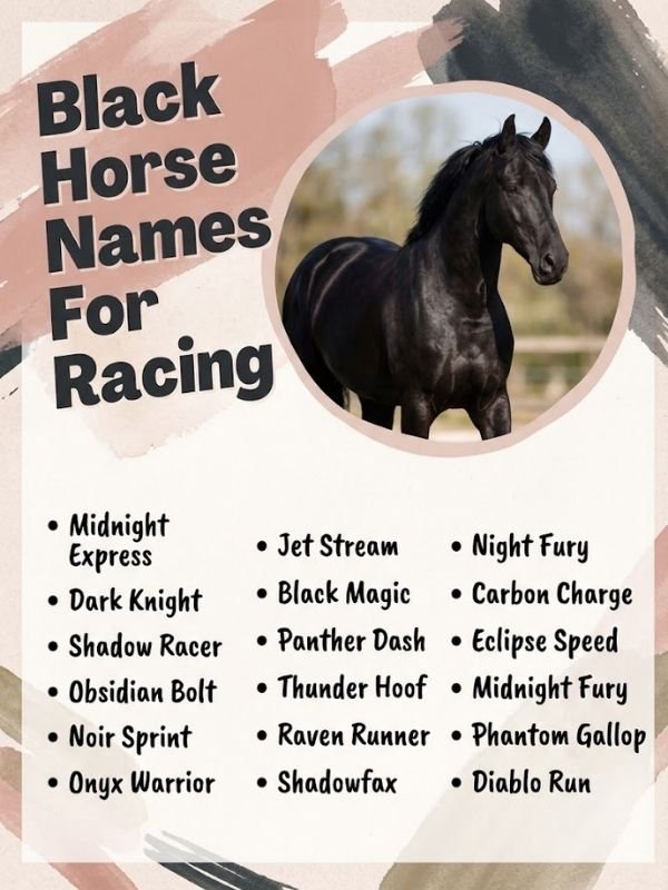 Black Horse Names For Racing