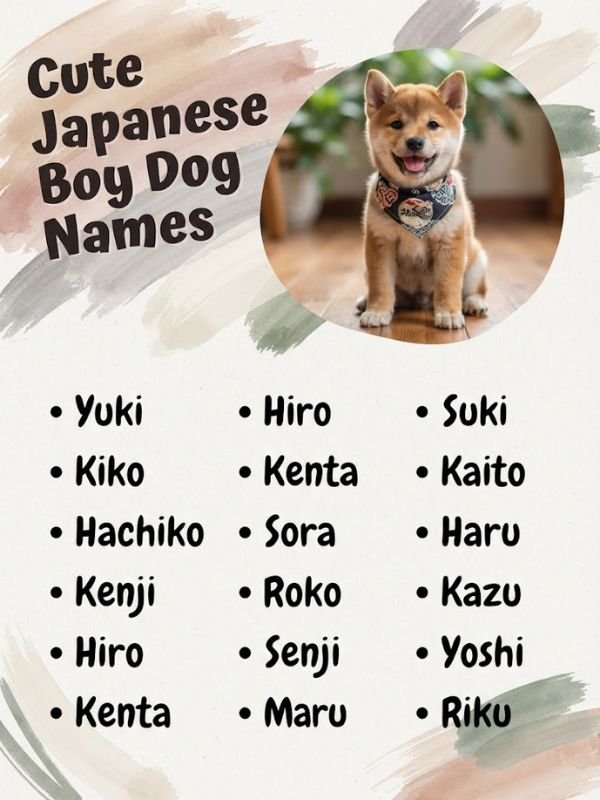 Cute Japanese Boy Dog Names