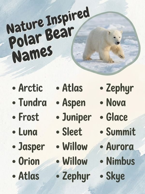 Nature Inspired Polar Bear Names